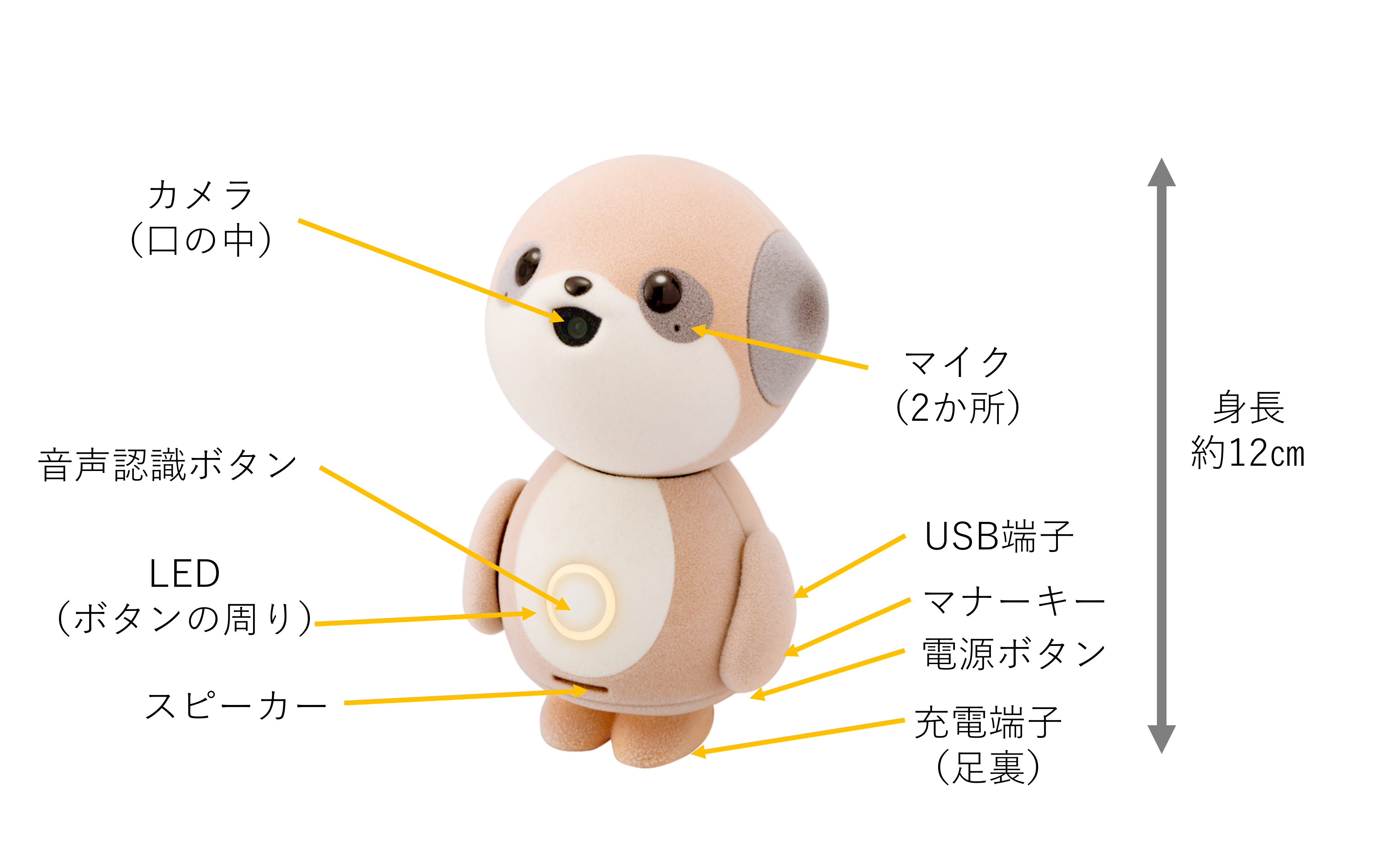 ポケとも ポケとも