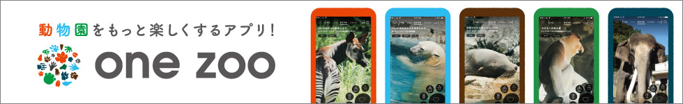 動物園をもっと楽しくするアプリ！ one zoo