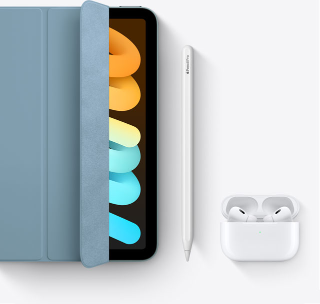 iPad mini（A17 Pro） | iPad | au