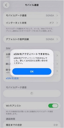 eSIMダウンロード時のエラー画面