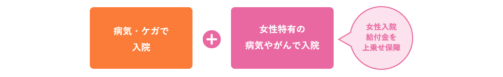 病気・ケガで入院＋女性特有の病気やがんなどで入院 女性入院給付金を上乗せ保障