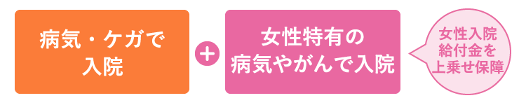 病気・ケガで入院＋女性特有の病気やがんなどで入院 女性入院給付金を上乗せ保障