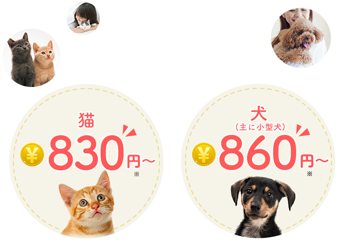 猫830円～犬(主に小型犬)860円～