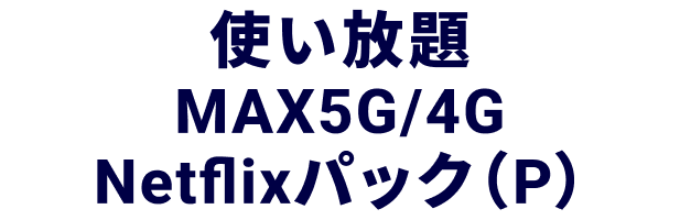 使い放題MAX 5G/4G Netflixパック（P）