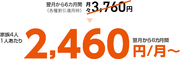 家族4人 1人あたり 翌月から6カ月間 2,460円/月~