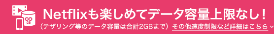 Netflixも楽しめてデータ容量上限なし！（テザリング等のデータ容量は合計2GBまで）