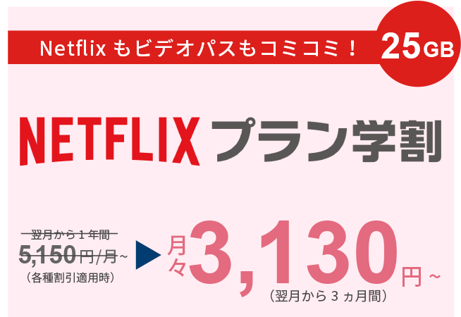 Netflixもビデオパスもコミコミ！25GB Netflixプラン学割 月々3,130円～