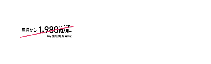 翌月から12ヵ月間980円/月(～2GB)