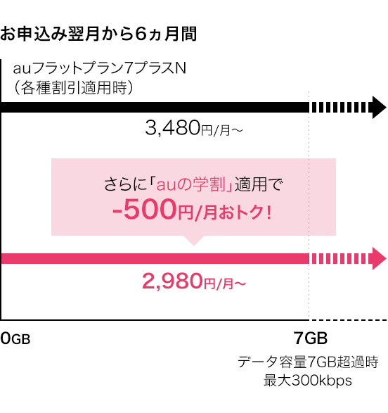 お申込み翌月から6ヵ月間