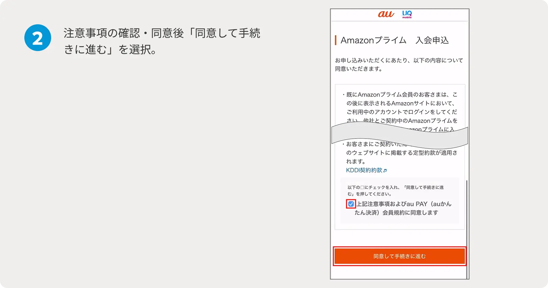 2 注意事項の確認・同意後「同意して手続きに進む」を選択。
