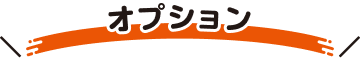 オプションサービス