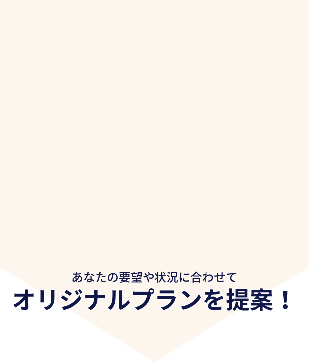 info_geminiInPro_02_bg