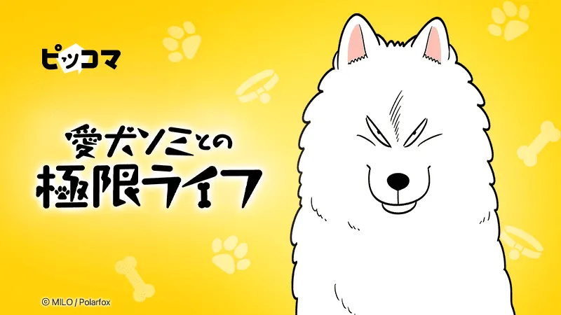 愛犬ソミとの極限ライフ