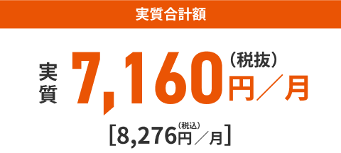 実質合計額 7,160円／月（税抜）[8,276円／月]（税込）