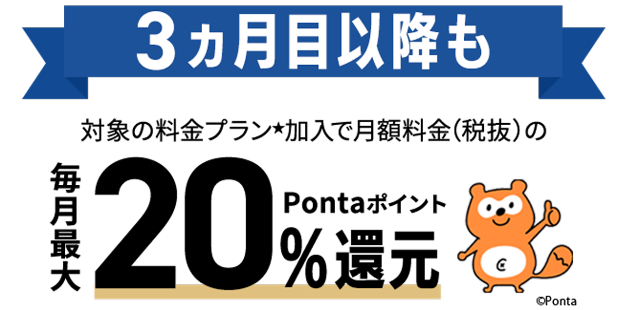 3ヵ月目以降も対象の料金プラン加入で毎月最大20%還元