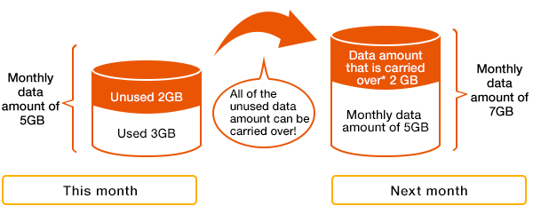 Data Carryover image