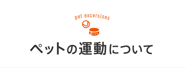 ペットの運動について