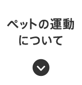 ペットの運動について