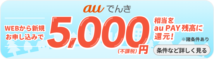 auでんき Webから新規お申し込みで5,000円(不課税)相当をau PAY 残高に還元！ 条件など詳しく見る