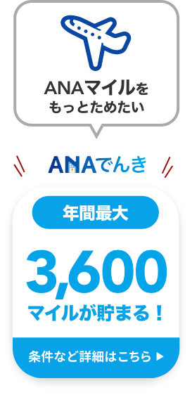 ANAでんき