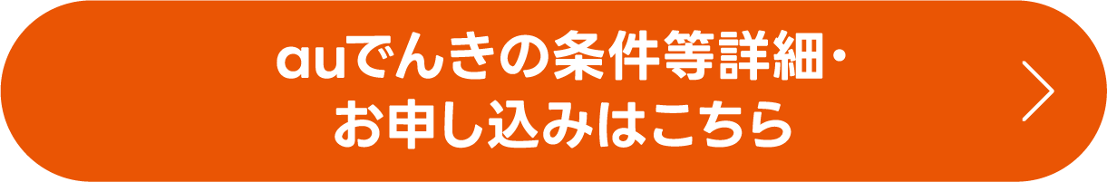 auでんきの条件等詳細・お申し込みはこちら