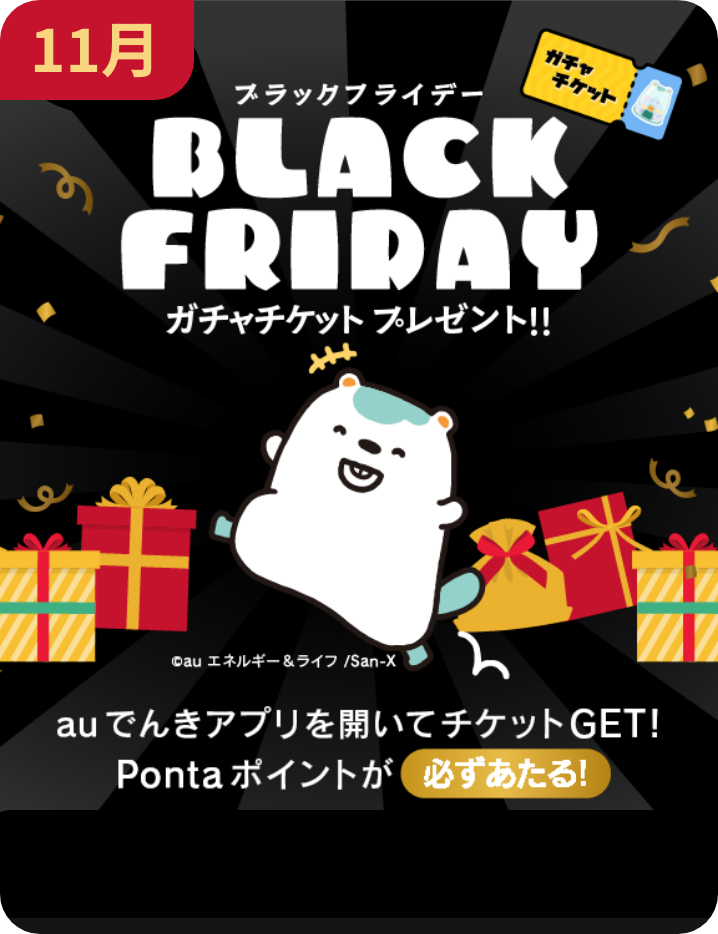 11月:ブックフライデー