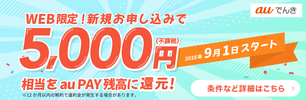Webから新規お申し込みで5,000円(不課税)相当をau PAY 残高に還元