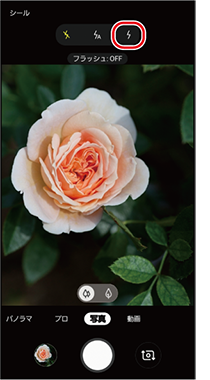撮影時フラッシュをon Offする カメラ 基本の機能
